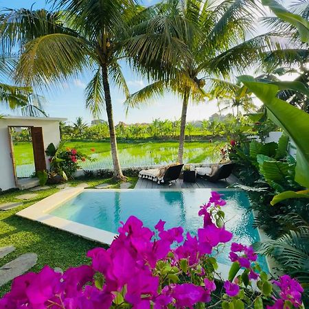 Villa Amara De'Vue Rice-Field Panoramic View W Pool Ig Ubud Exteriér fotografie