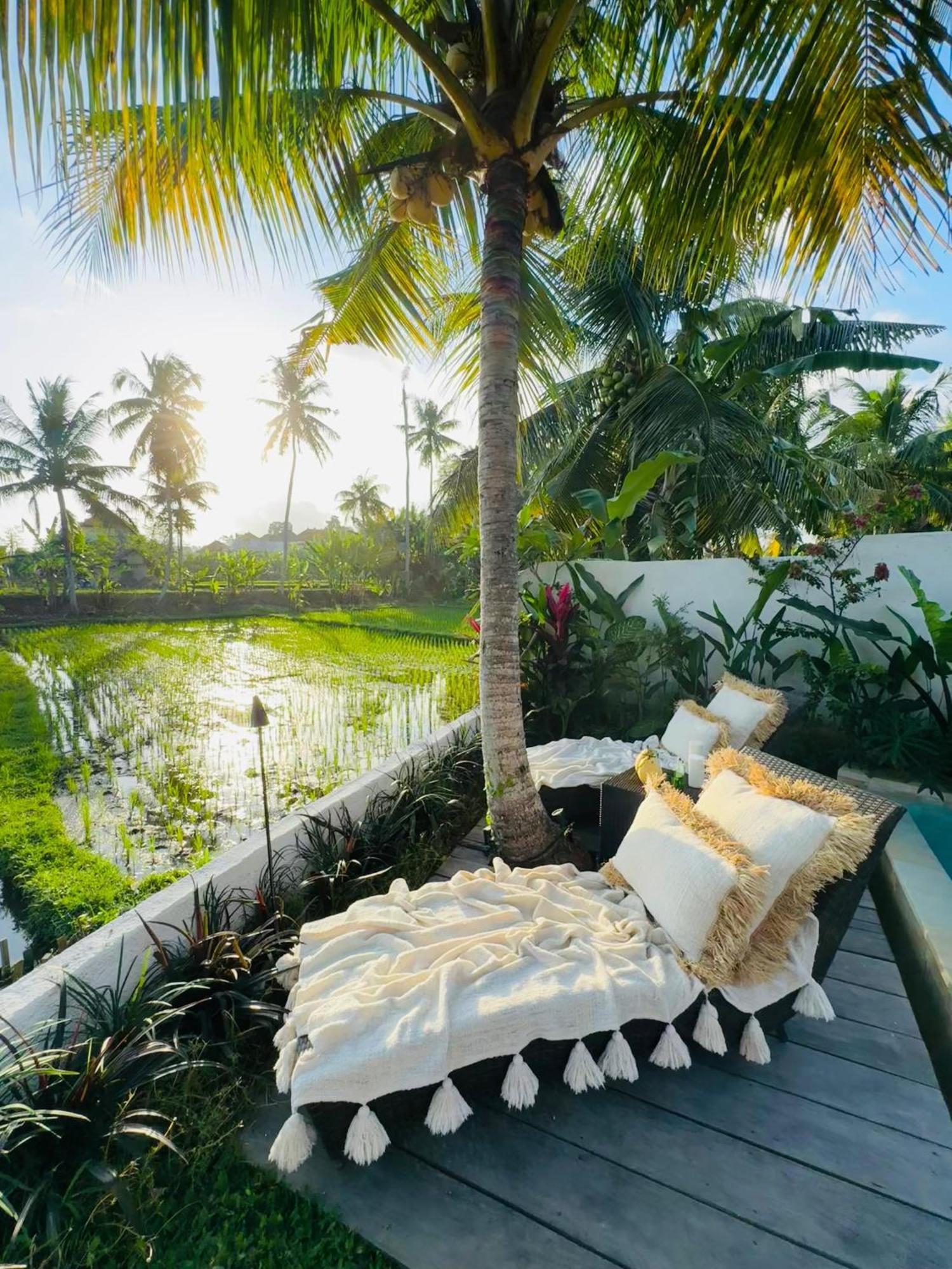 Villa Amara De'Vue Rice-Field Panoramic View W Pool Ig Ubud Exteriér fotografie