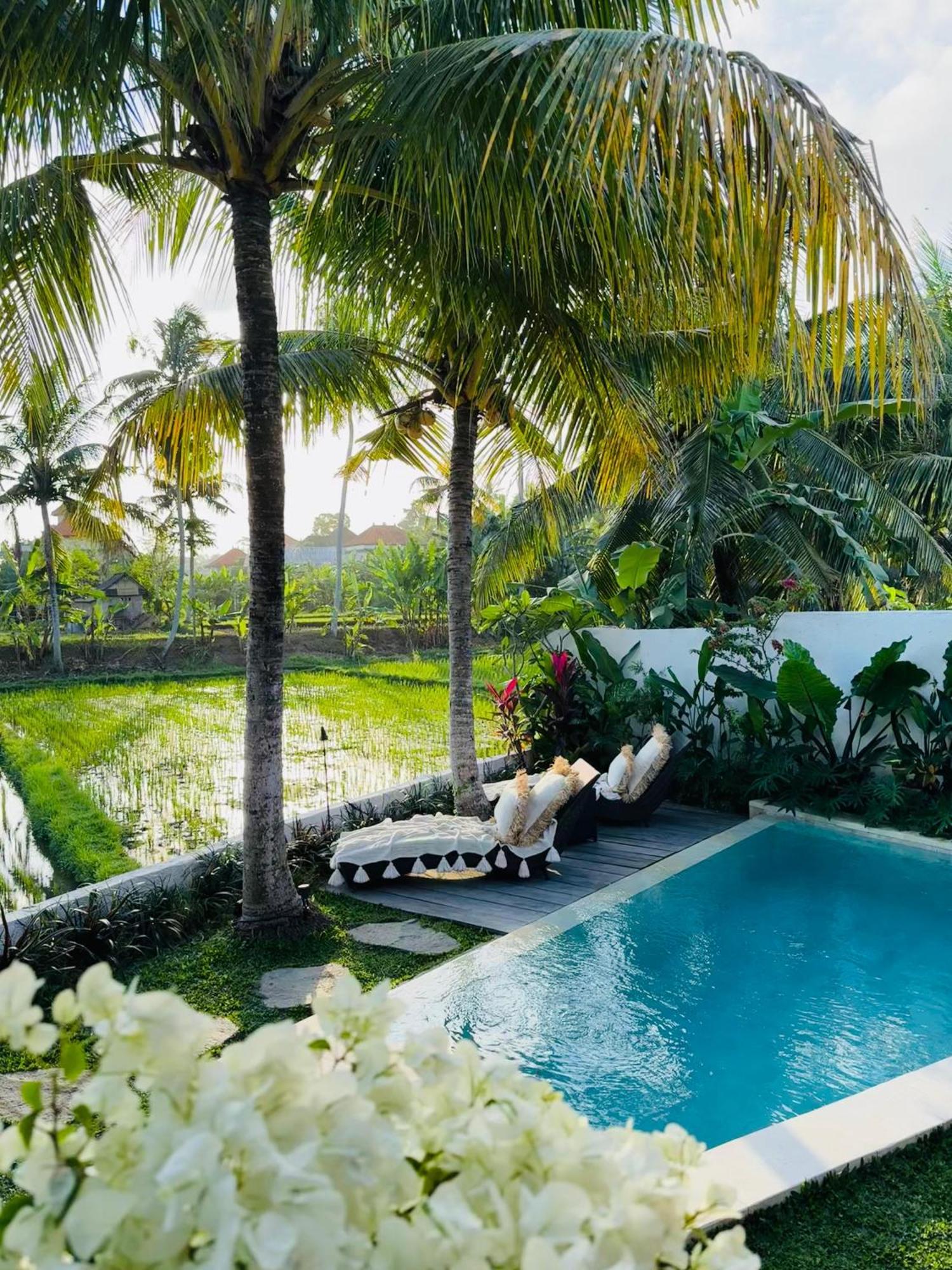 Villa Amara De'Vue Rice-Field Panoramic View W Pool Ig Ubud Exteriér fotografie