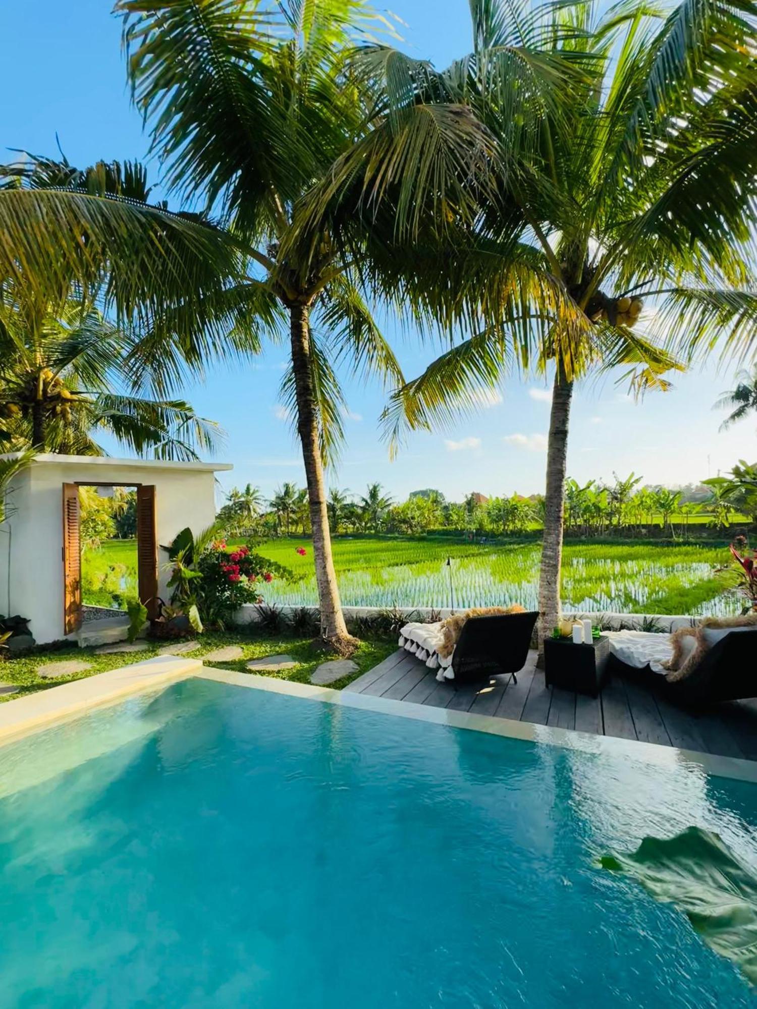 Villa Amara De'Vue Rice-Field Panoramic View W Pool Ig Ubud Exteriér fotografie