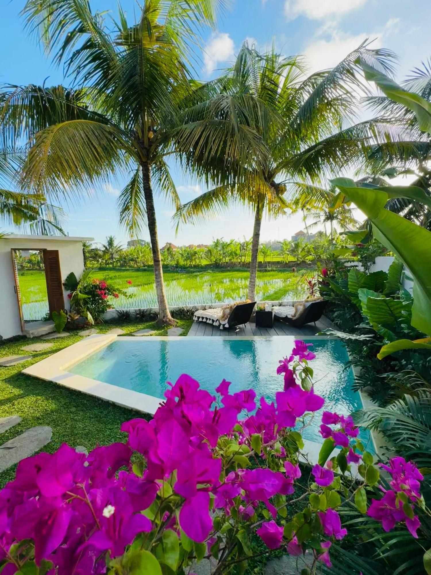 Villa Amara De'Vue Rice-Field Panoramic View W Pool Ig Ubud Exteriér fotografie